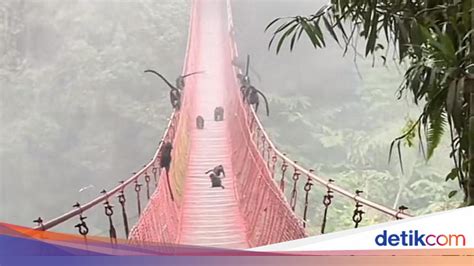 featured_image
