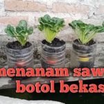 featured_image