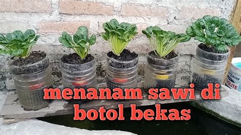 featured_image