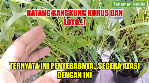 featured_image