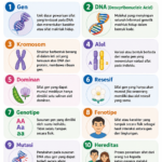 10 Contoh Istilah Genetika Dasar dan Artinya