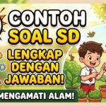 a49f0adf-3ef0-4ab6-96cb-fe0031ba2858