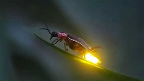 featured_image