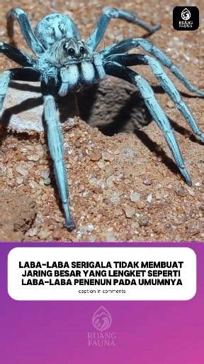 featured_image