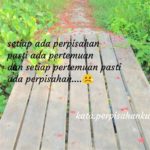 featured_image