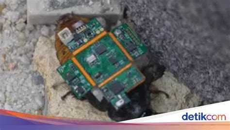 featured_image