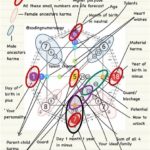 featured_image