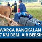 featured_image