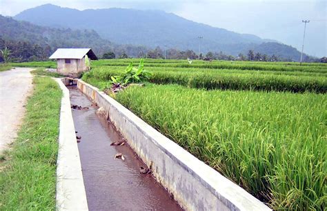 featured_image