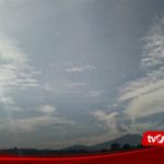 featured_image