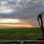 featured_image