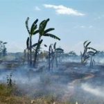 featured_image