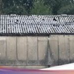 featured_image