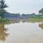 featured_image