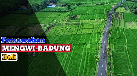 featured_image