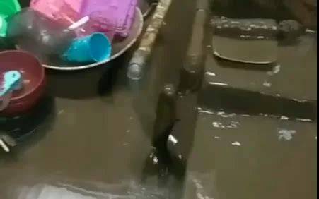 featured_image