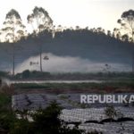 featured_image