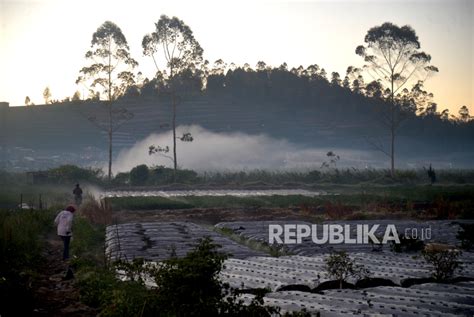 featured_image