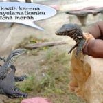 featured_image