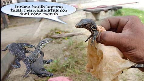 featured_image
