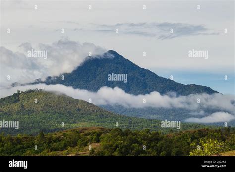 featured_image