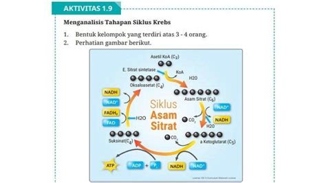 featured_image