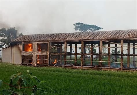 featured_image