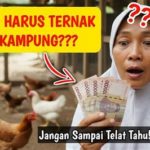 featured_image
