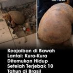 featured_image