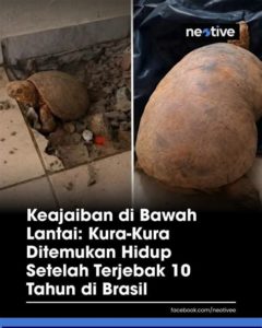 featured_image