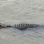 featured_image