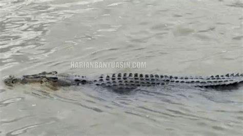 featured_image