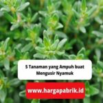 featured_image