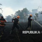 featured_image