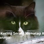 featured_image