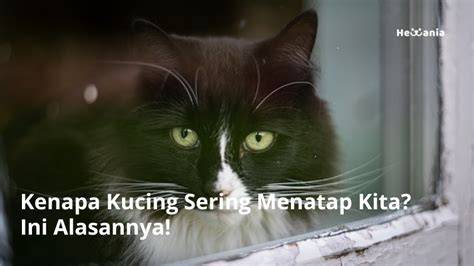 featured_image