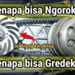 featured_image
