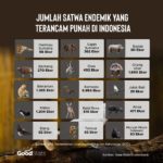 featured_image