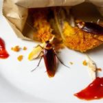 featured_image
