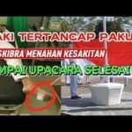 featured_image