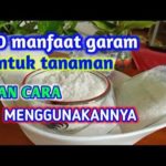 featured_image