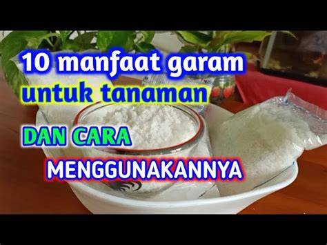 featured_image