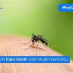 featured_image