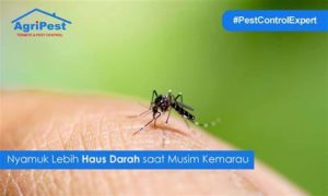 featured_image