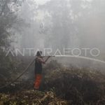 featured_image