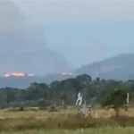 featured_image