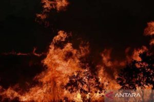 featured_image