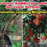 featured_image