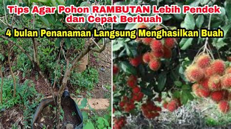 featured_image