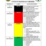 Rumitnya Triage di UGD: Kisah Nyata yang Menggugah Kesadaran akan Kesehatan Publik